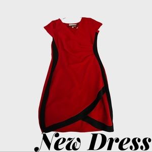 Brand New Fitted Dress